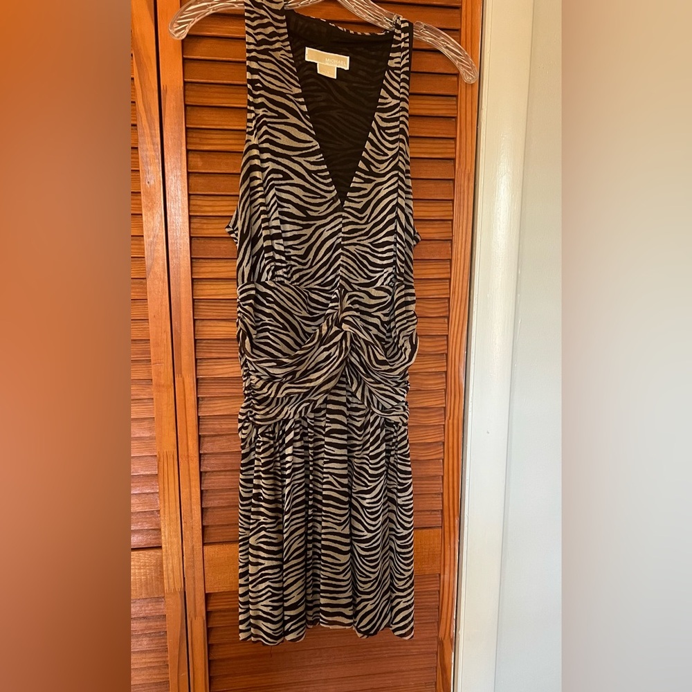 Mini Zebra Dress